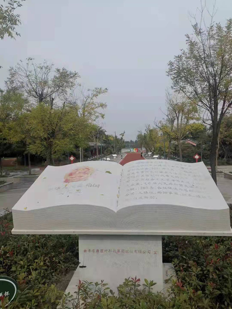 民法典，與生活共行